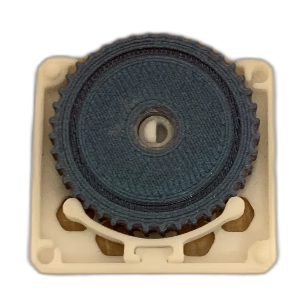 Clicker Fidget (3 of 3)